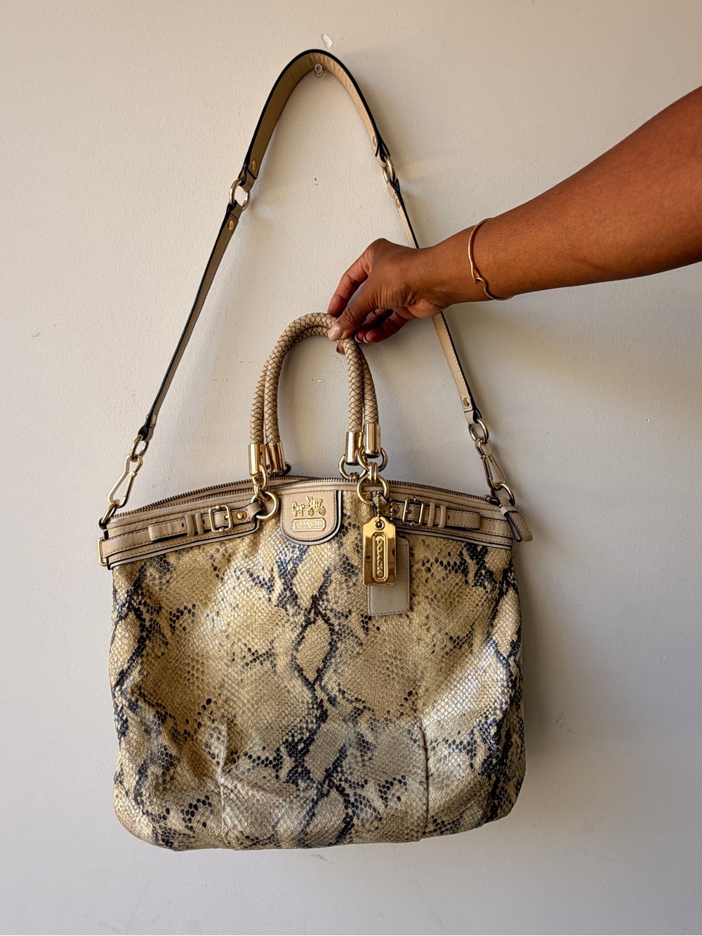 Coach Snakeskin-Print Leather Satchel in Beige and Black with Gold Hardware